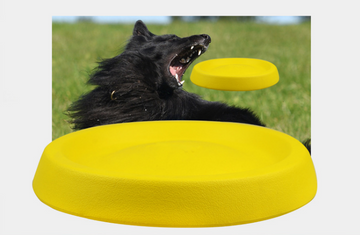 Dog Throwing Toy