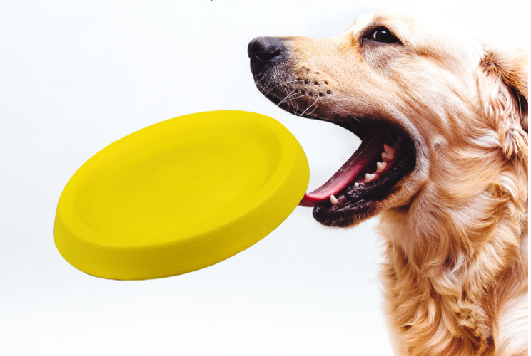 Dog Throwing Toy