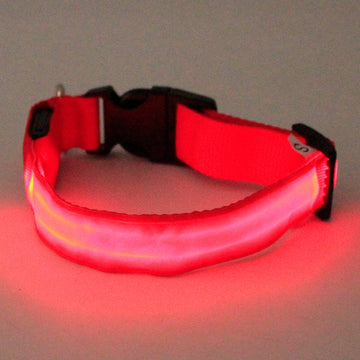 LED Dog Collar