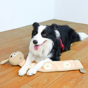 Dog Sniff Toys