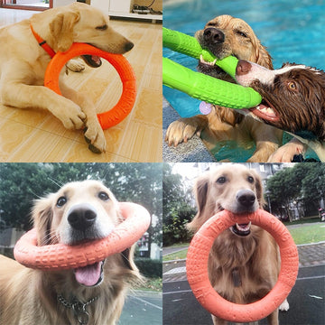 Pet Flying Discs Bite Ring Toy